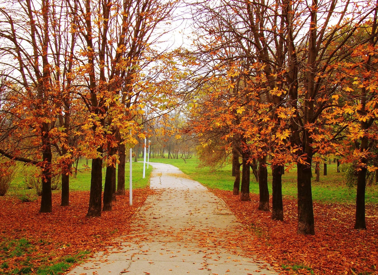 Medical Science Advancements